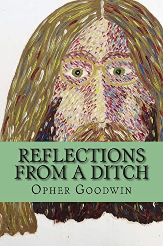 Reflections from a ditch