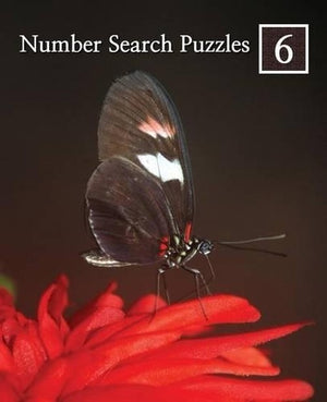 Number Search Puzzles 6