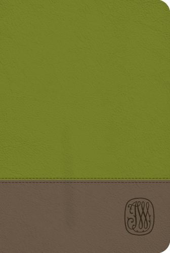 NRSV Wesley Study Bible