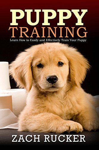 Puppy Training