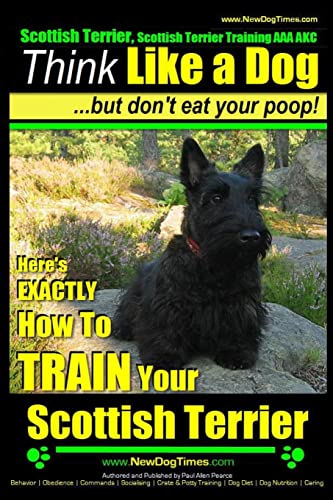 Scottish Terrier, Scottish Terrier Training AAA AKC