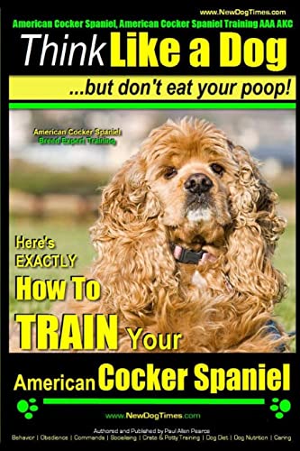 American Cocker Spaniel, American Cocker Spaniel Training AAA AKC
