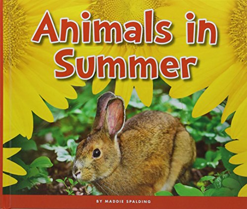Animals in Summer