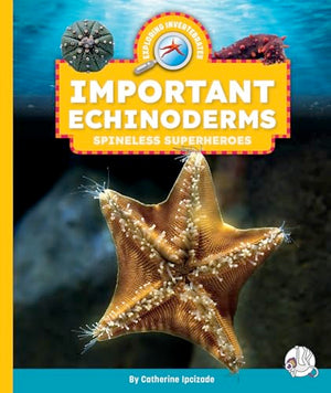 Important Echinoderms