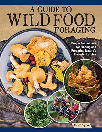 A Guide to Wild Food Foraging