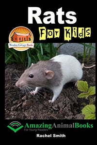 Rats For Kids 
