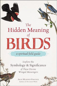 The Hidden Meaning of Birds--A Spiritual Field Guide 