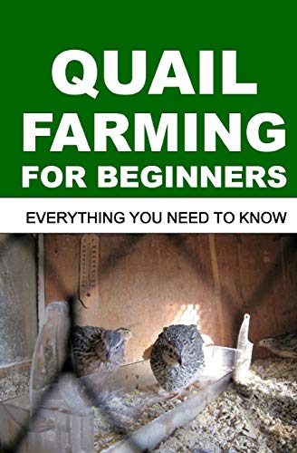 Quail Farming For Beginners