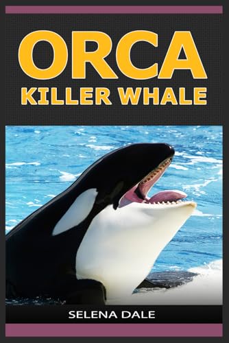 Orca - Killer Whale