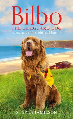 Bilbo the Lifeguard Dog