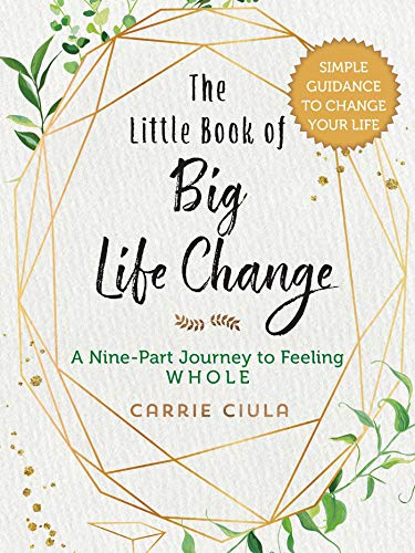 The Little Book of Big Life Change