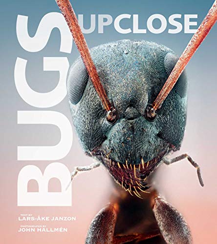 Bugs Up Close
