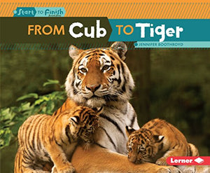 From Cub to Tiger 