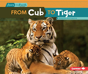 From Cub to Tiger 