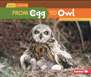 From Egg to Owl 