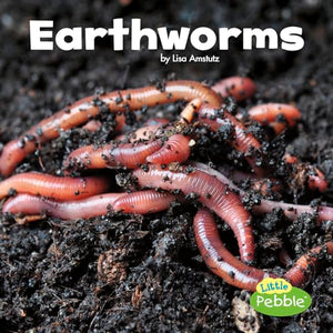 Little Critters Earthworms 