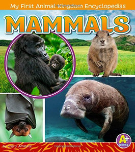 Mammals 
