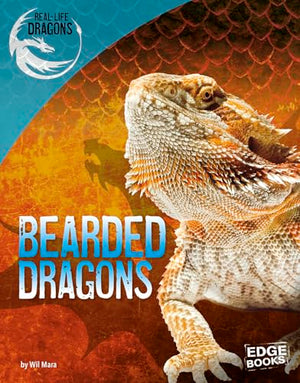 Bearded Dragons