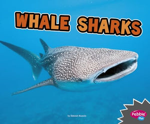 All About Sharks Whale Sharks