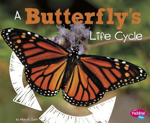 A Explore Life Cycles Butterflys Life Cycle
