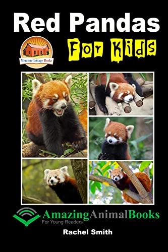 Red Pandas For Kids