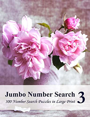 Jumbo Number Search 3