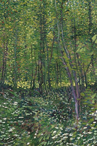 Trees and Undergrowth, Vincent Van Gogh