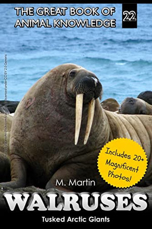 Walruses