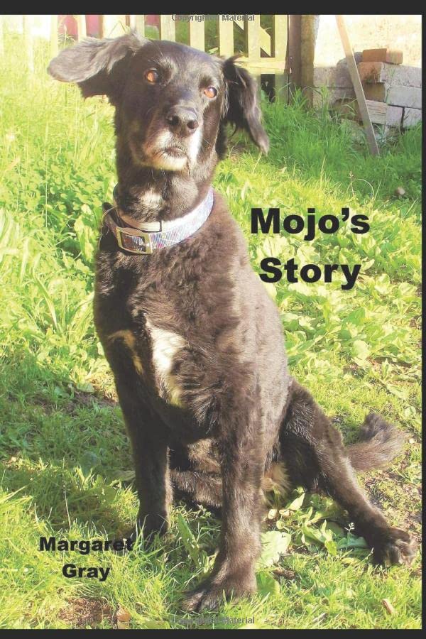 Mojo's Story
