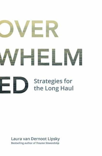 The Age of Overwhelm
