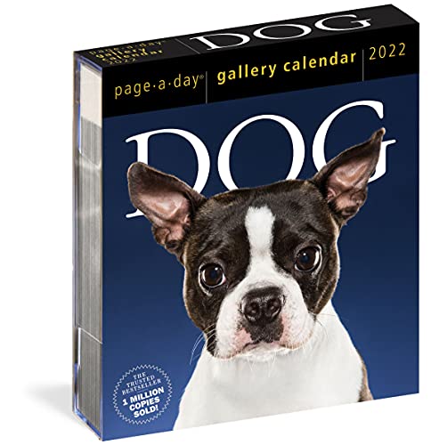 2022 Dog Gallery Calendar