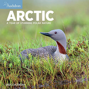 Audubon Arctic Wall Calendar 2023 