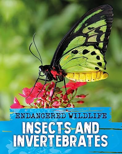 Endangered Wildlife: Rescuing Insects and Invertebrates