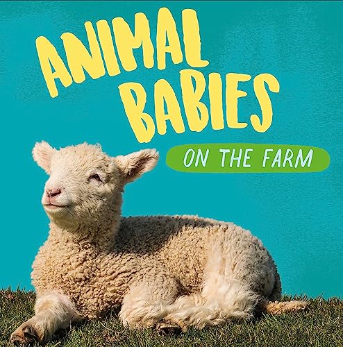 Animal Babies: On the Farm