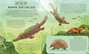 Get Your Animals in Order: Classifying the Animal World 