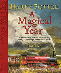 Harry Potter  A Magical Year 