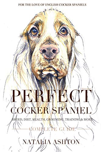 Perfect cocker spaniel: complete guide. Breed, diet, health, grooming, training and more