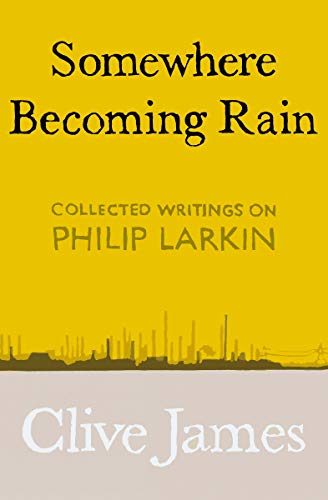 Somewhere Becoming Rain