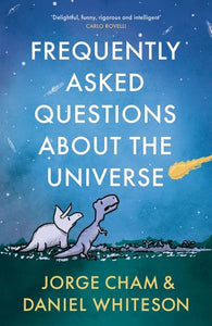 Frequently Asked Questions About the Universe 