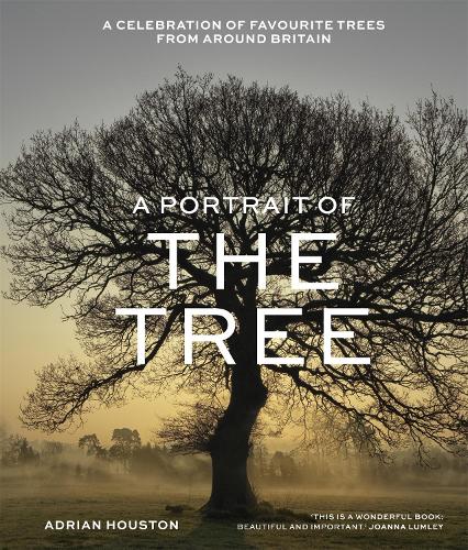A A Portrait of the Tree