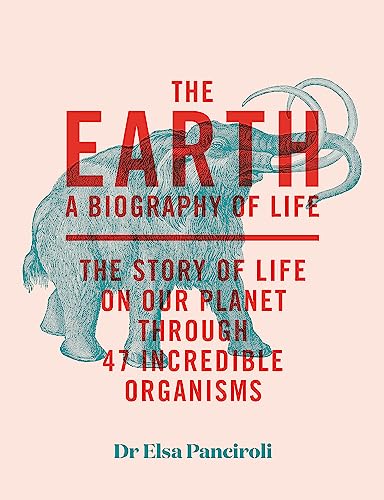 The The Earth