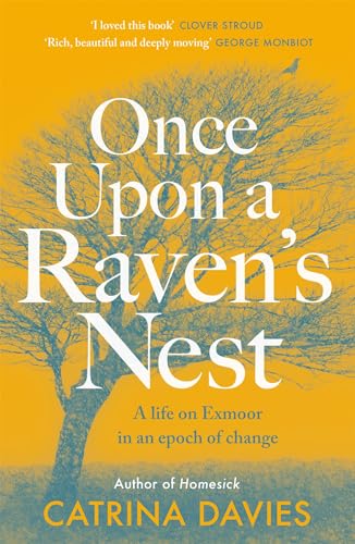 Once Upon a Raven's Nest