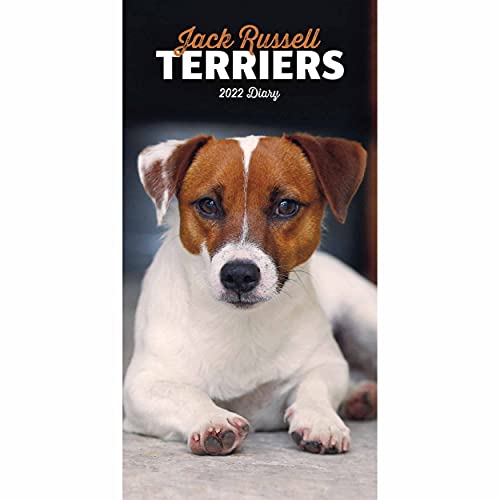 Jack Russell Terriers Slim Diary 2022