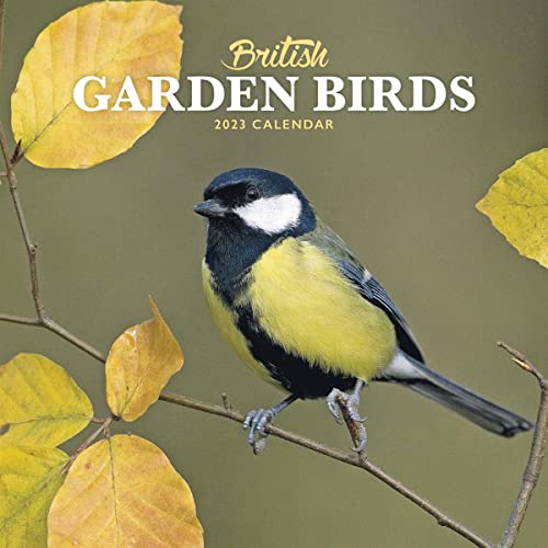 2023 British Garden Birds Mini Calendar