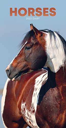 2023 Horse Slim Diary