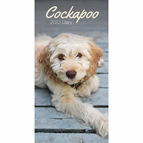 Cockapoo Slim Diary 2023