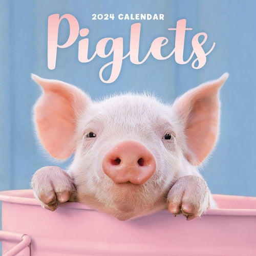 2024 Piglets Mini