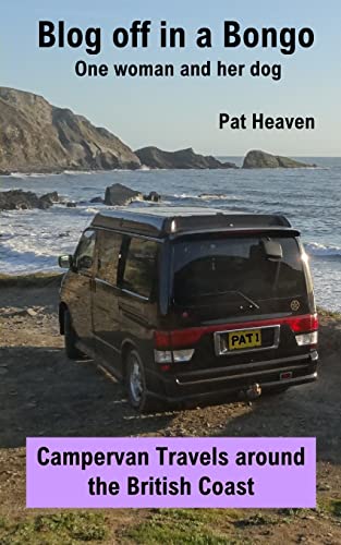 Blog Off in a Bongo - One woman and her dog