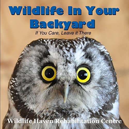 Wildlife in Your Backyard