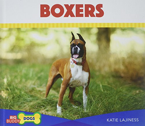 Boxers